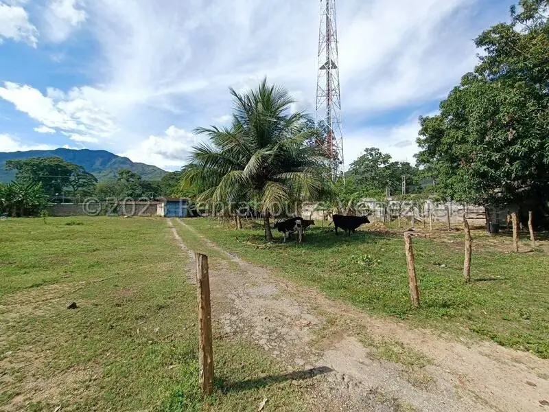 Terreno (Comercial) en Venta en La Josefina I, Carabobo - 8