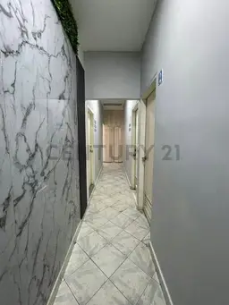 Vista 5