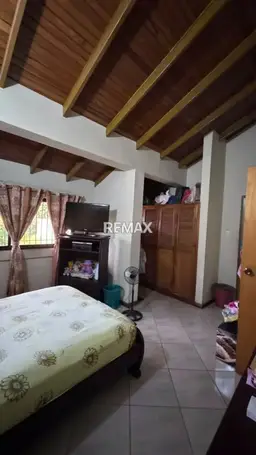 Vista 5
