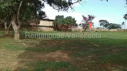 Vista 4
