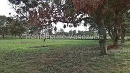 Vista 6