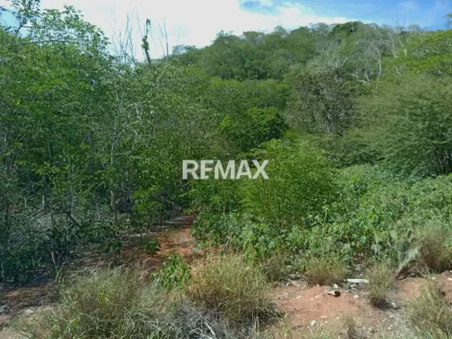 Terreno en venta en Urbanización la Guarina. - 8