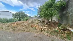 Vista 6