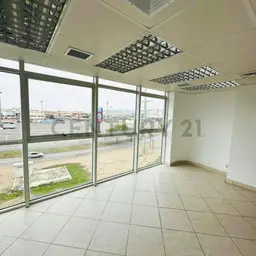Vista 3