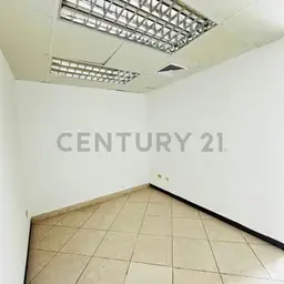 Vista 5
