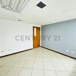 Vista 6