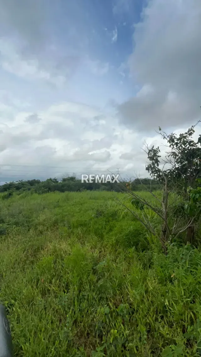 TERRENO PROPIO EN VENTA A ORILLA DE AUTOPISTA CENTRO OCCIDENTAL - 3