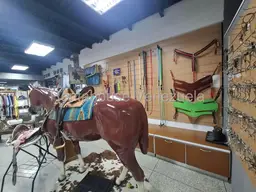 View 3
