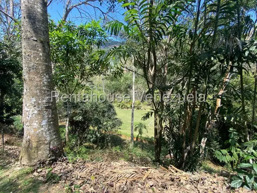 Terreno (Comercial) en Venta en El Hatillo, Distrito Metropolitano - 13
