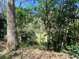 View 13