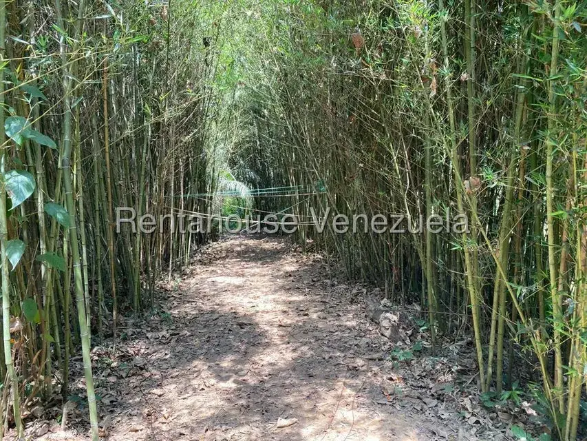 Terreno (Comercial) en Venta en El Hatillo, Distrito Metropolitano - 24