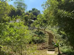 View 27