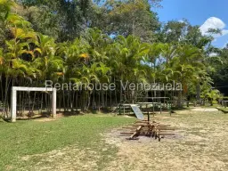 View 31