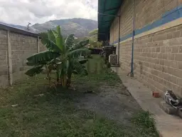 View 19