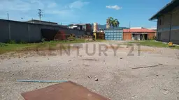 View 10
