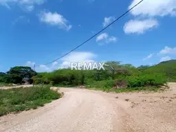 View 11