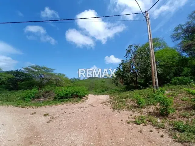 TERRENO CON POTENCIAL PARA INVERSIÓN COMERCIAL Y RESIDENCIAL, EN SECTOR GUAYABAL - 12