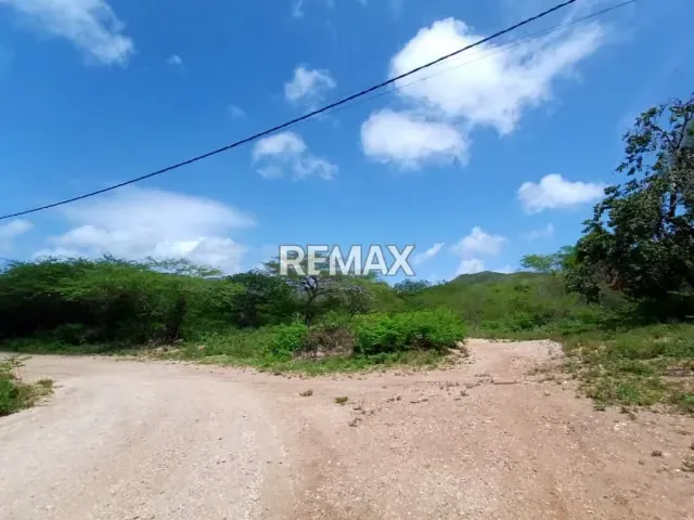 TERRENO CON POTENCIAL PARA INVERSIÓN COMERCIAL Y RESIDENCIAL, EN SECTOR GUAYABAL - 14