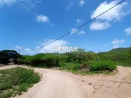 View 8