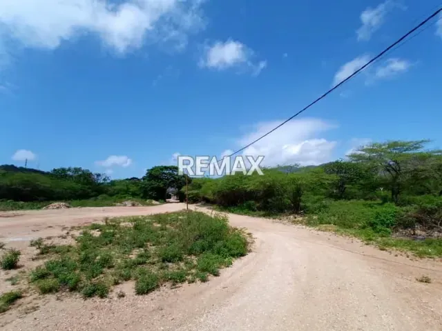 TERRENO CON POTENCIAL PARA INVERSIÓN COMERCIAL Y RESIDENCIAL, EN SECTOR GUAYABAL - 9
