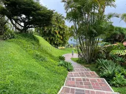 View 50