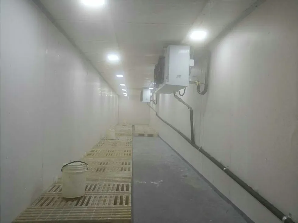 Se Alquila Cava de Congelación y Piso de Procesamiento de Alimentos - 2