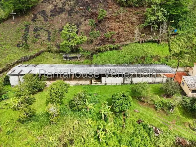 Comercial (Industrial) en Venta en Avenida Principal Cecilio Acosta, Miranda