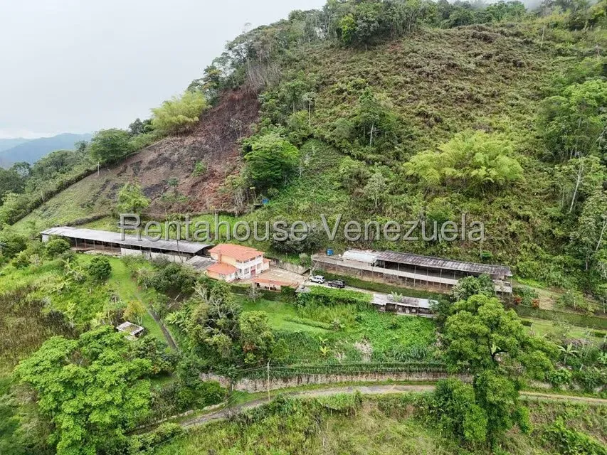 Industrial en Venta en Avenida Principal Cecilio Acosta, Miranda - 2