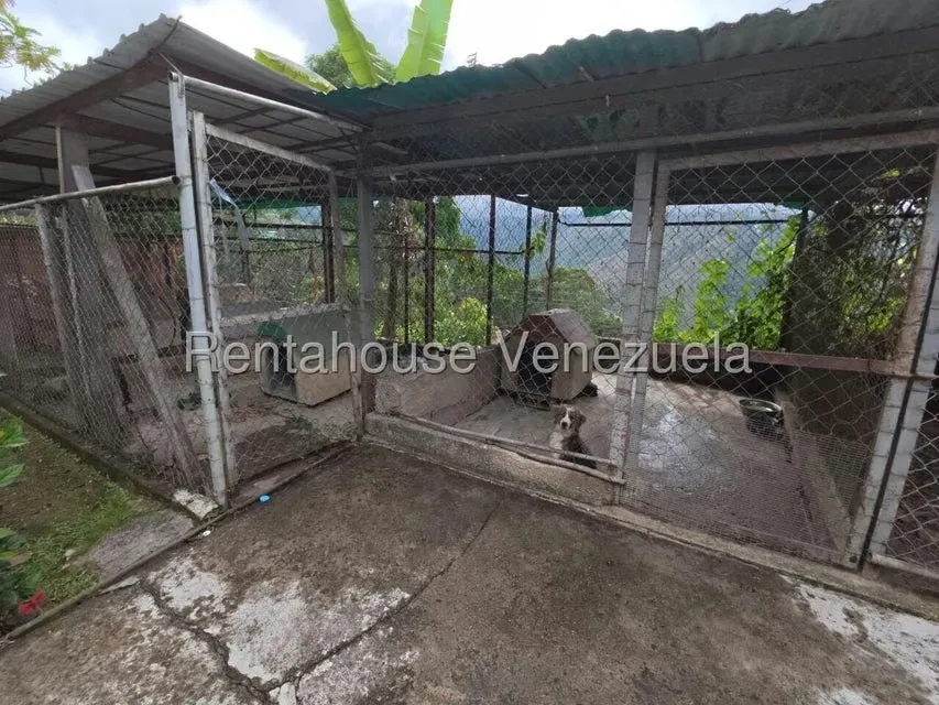 Industrial en Venta en Avenida Principal Cecilio Acosta, Miranda - 32