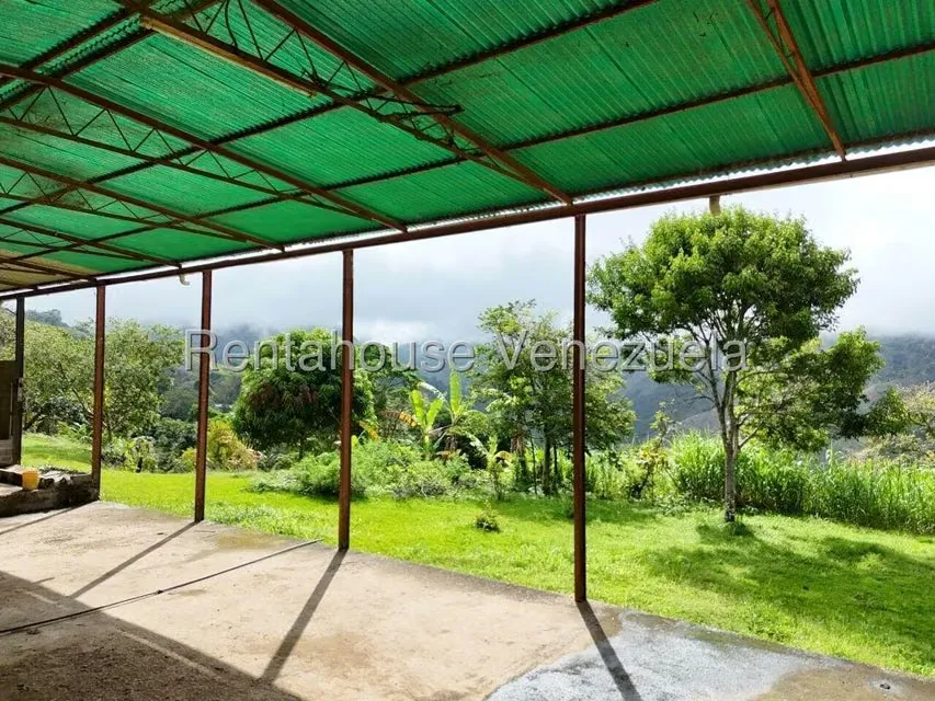 Industrial en Venta en Avenida Principal Cecilio Acosta, Miranda - 37