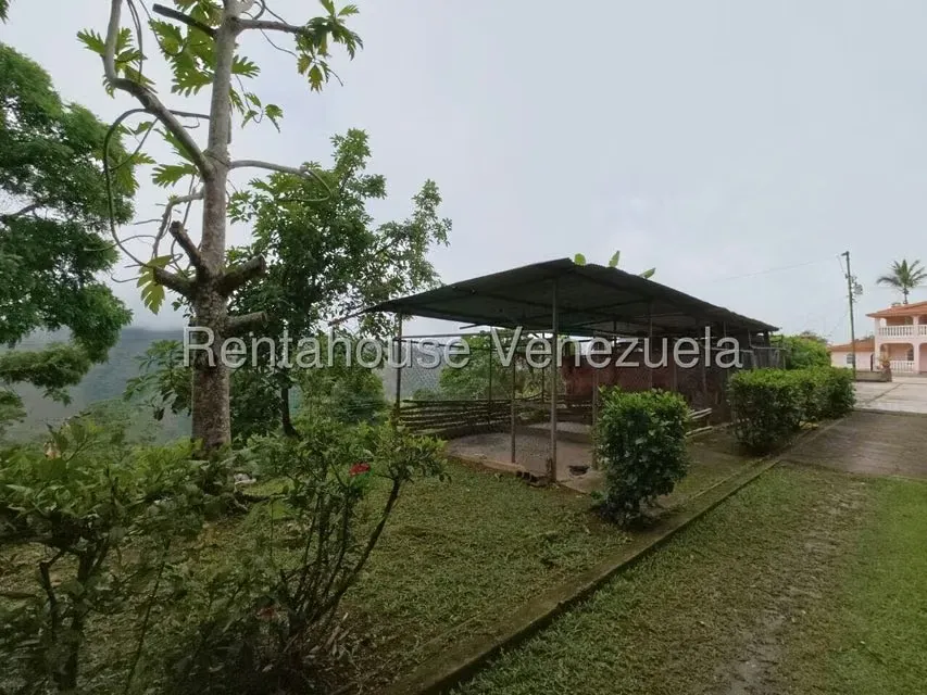 Industrial en Venta en Avenida Principal Cecilio Acosta, Miranda - 38
