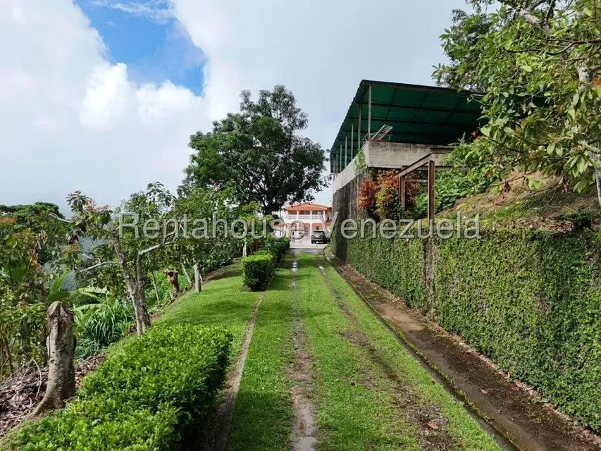 Industrial en Venta en Avenida Principal Cecilio Acosta, Miranda - 8