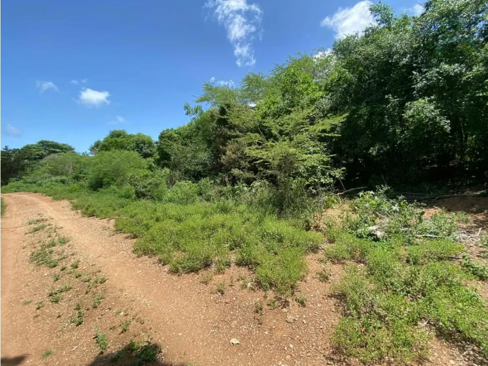 Se vende terreno 5763m² El Guayabal - 2