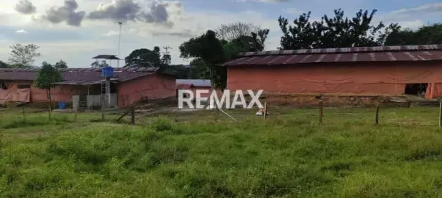 OPORTUNIDAD DE INVERSION: GRANJA AVÍCOLA EN PLENA OPERACIÓN Aldea Las Flores- Las Mesas Mcpio. Antonio Rómulo Costa Edo. Táchira - 3