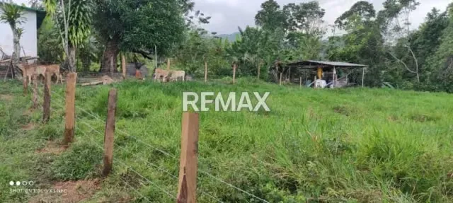OPORTUNIDAD DE INVERSION: GRANJA AVÍCOLA EN PLENA OPERACIÓN Aldea Las Flores- Las Mesas Mcpio. Antonio Rómulo Costa Edo. Táchira - 4