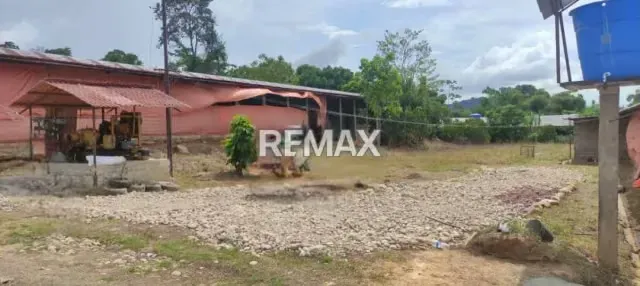 OPORTUNIDAD DE INVERSION: GRANJA AVÍCOLA EN PLENA OPERACIÓN Aldea Las Flores- Las Mesas Mcpio. Antonio Rómulo Costa Edo. Táchira - 5