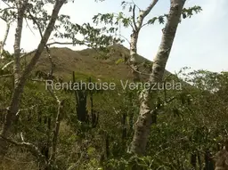 Vista 11