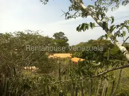 Vista 12