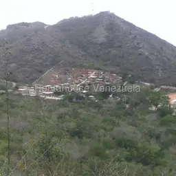 Vista 18