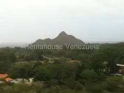 Vista 19