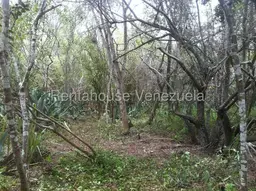 Vista 7