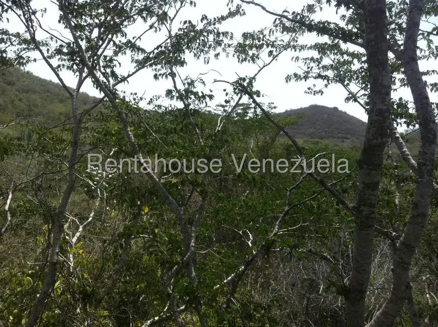 Terreno (Comercial) en Venta en Sector El Portete, Aragua - 10