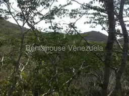 Vista 10