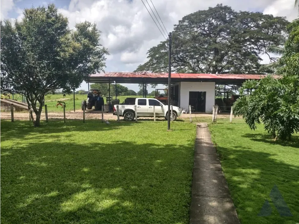 Se vende finca ganadera 1715Ha Barinas 3448