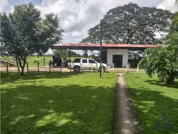 Vista 1