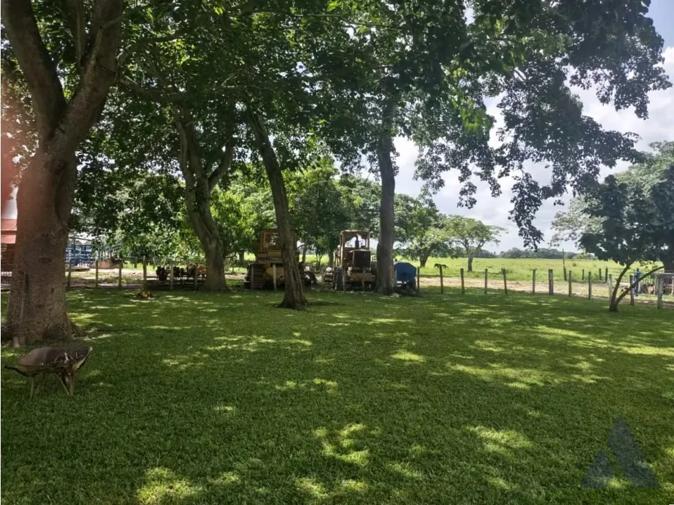 Se vende finca ganadera 1715Ha Barinas 3448 - 3