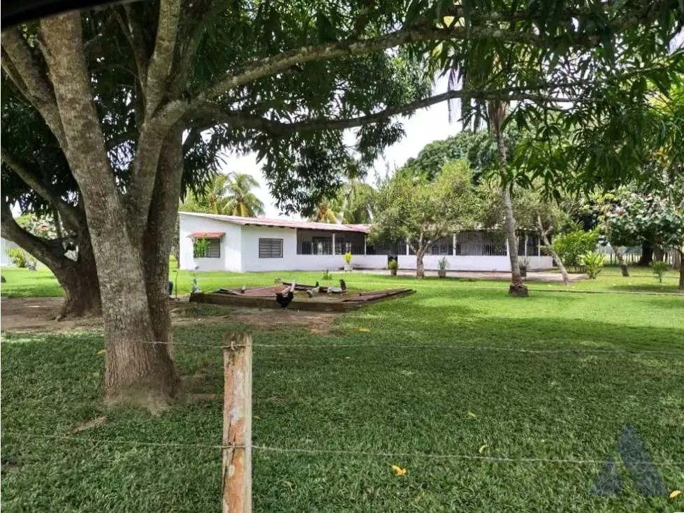 Se vende finca ganadera 1715Ha Barinas 3448 - 4