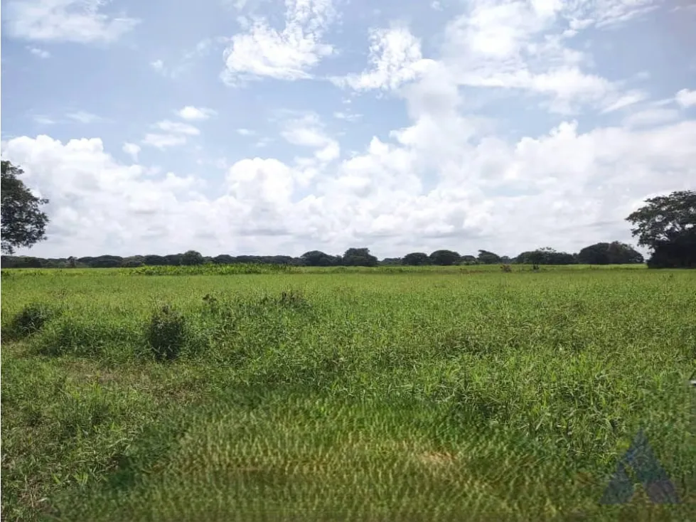 Se vende finca ganadera 1715Ha Barinas 3448 - 6