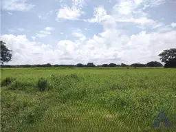Vista 6