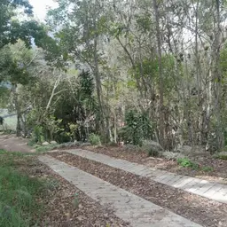 Vista 1